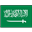 Saudi Pro League